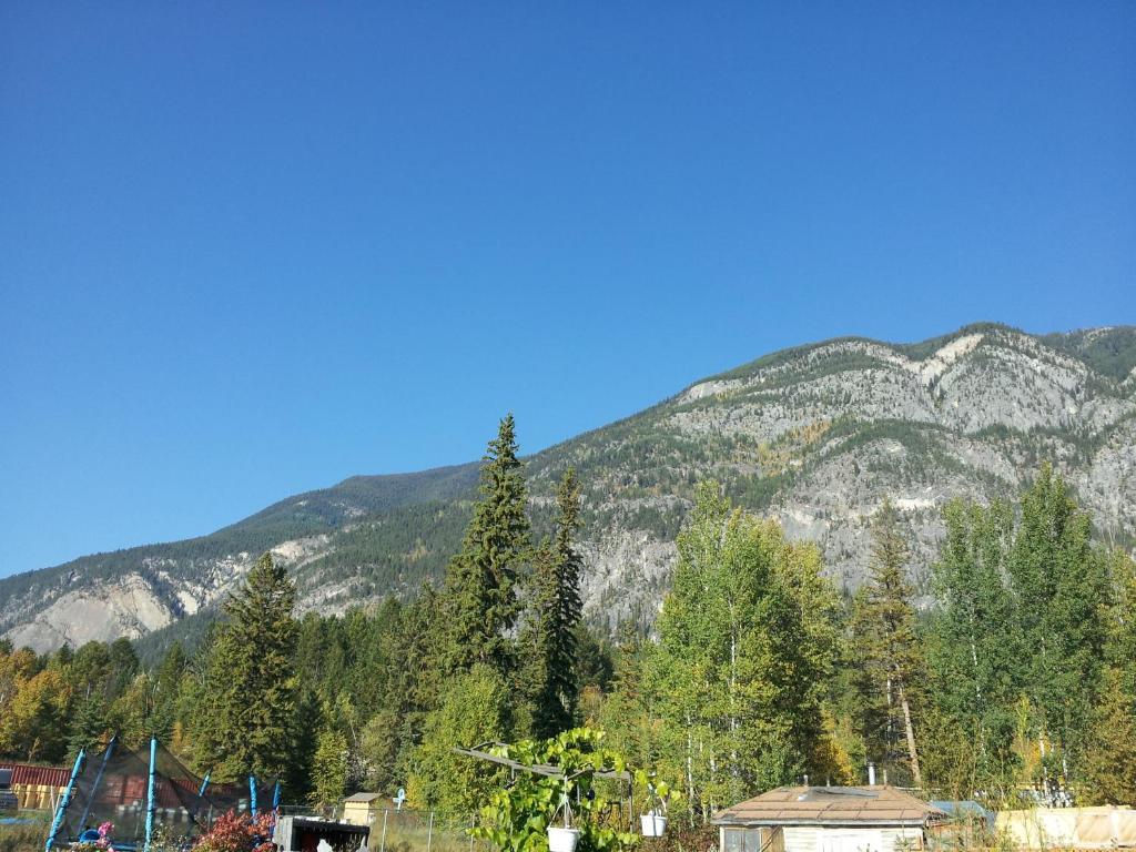 Steamboat Mountain Chalets Hotel Spillimacheen Esterno foto